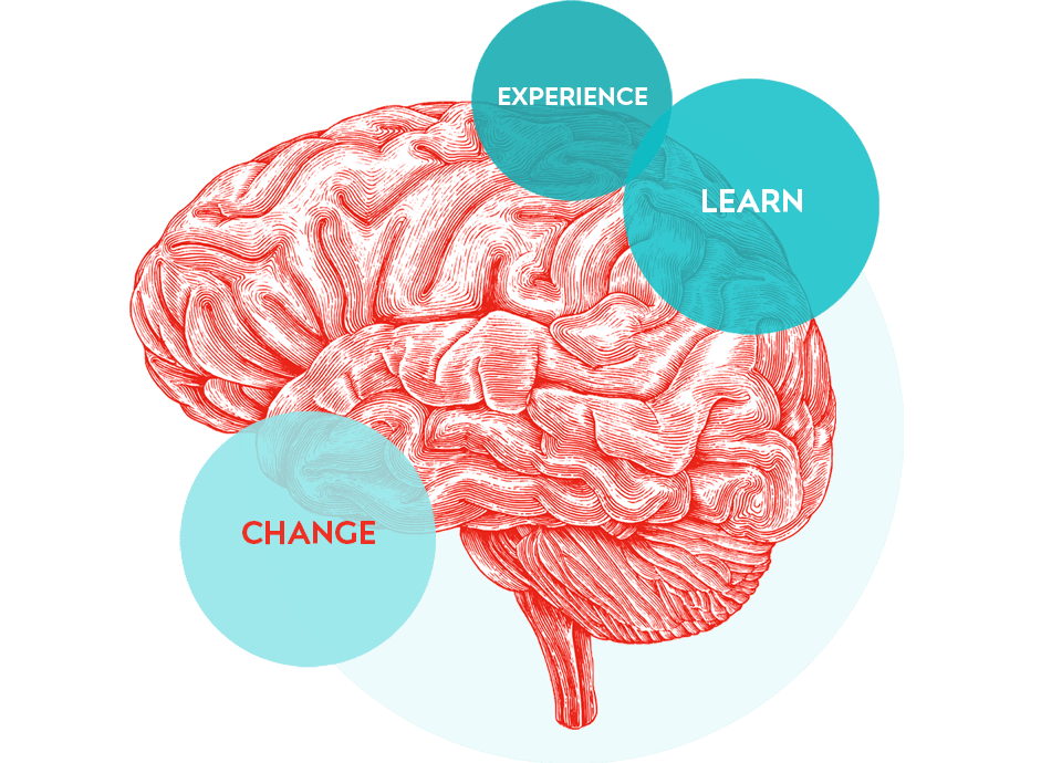 Développement de l'équipe Apprentissage