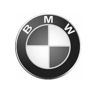bmw300x300